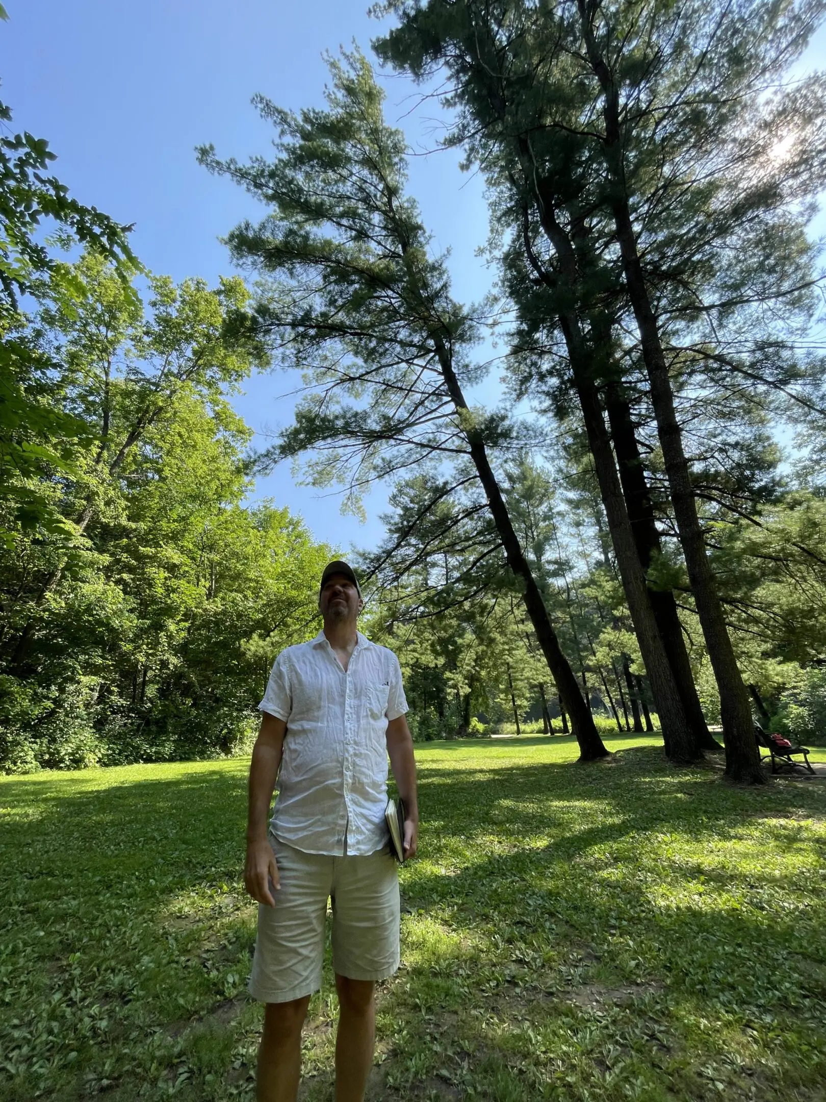 Man standing in a sunny forest clearing.