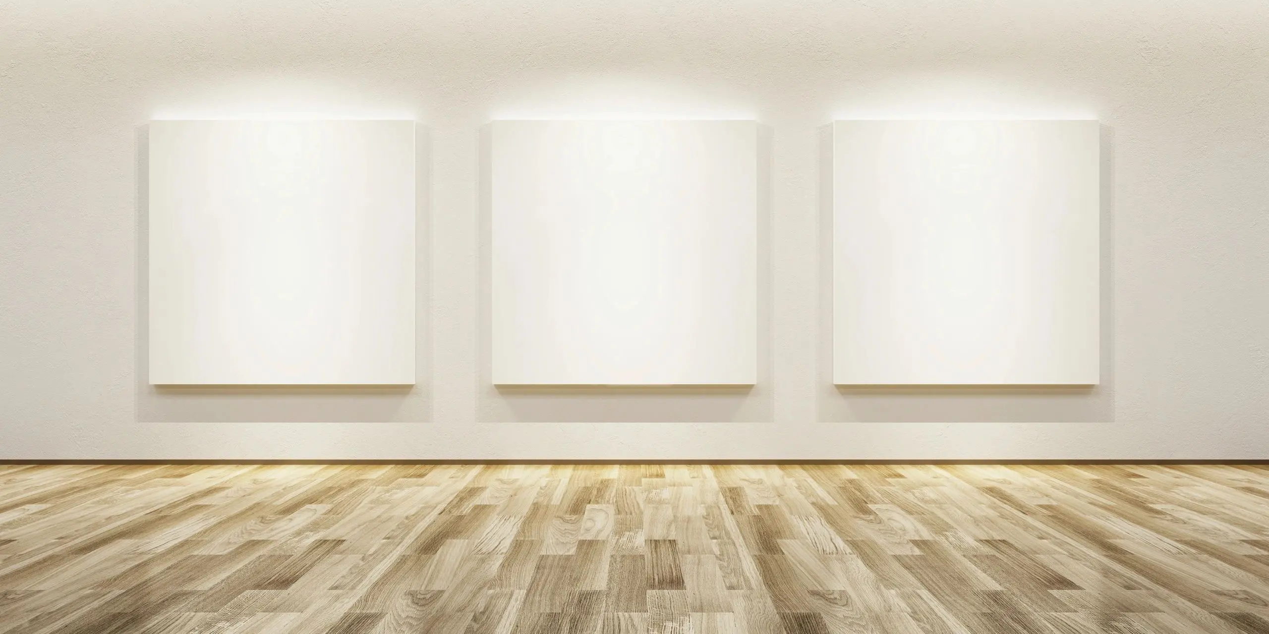 Minimalist art gallery display