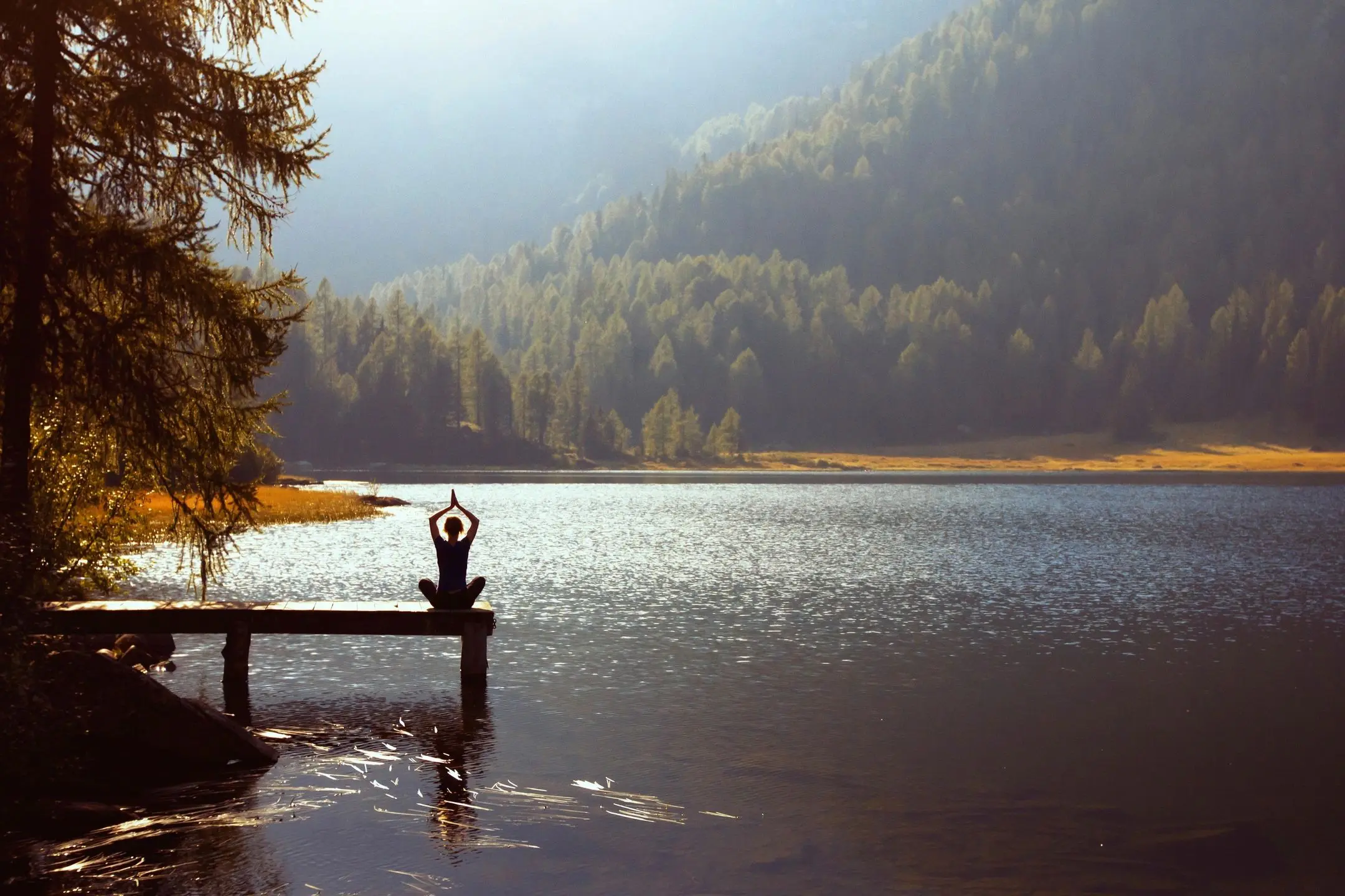 Yoga on a dock by the forest