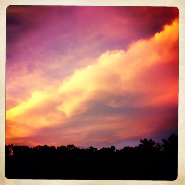 Dramatic sunset over forest silhouette