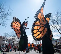 Colorful parade with butterfly-themed costumes