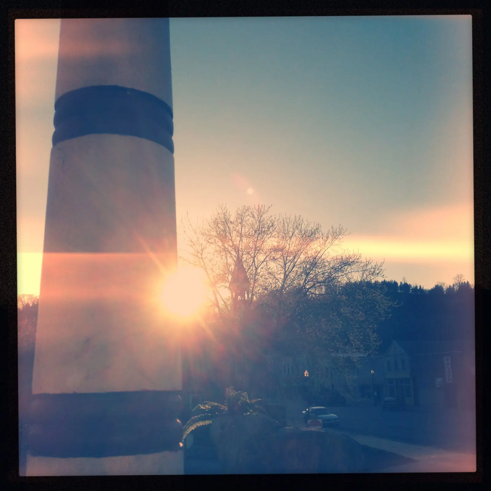 Sunset behind striped pole and tree