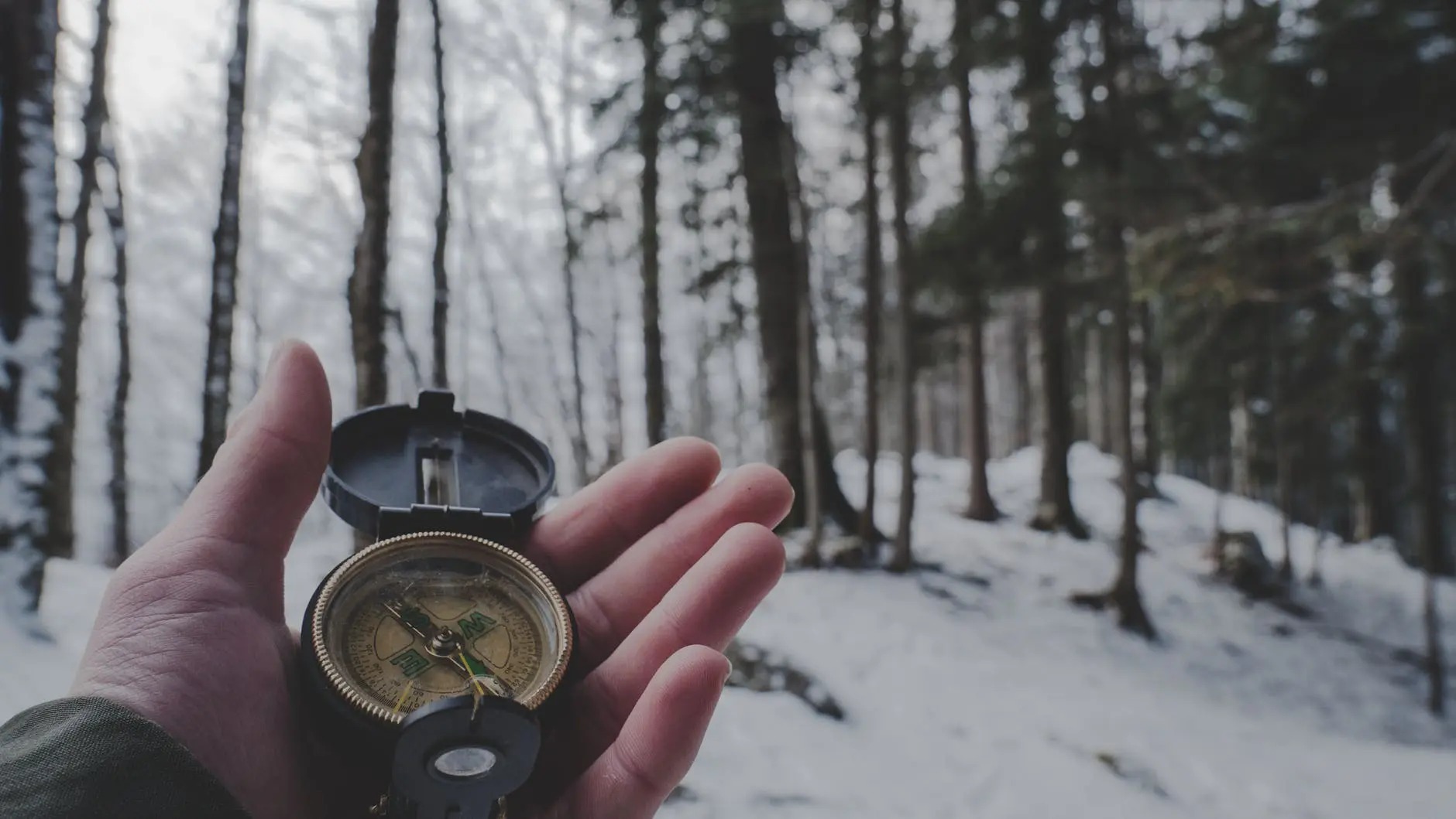 Exploring snowy forest with a compass