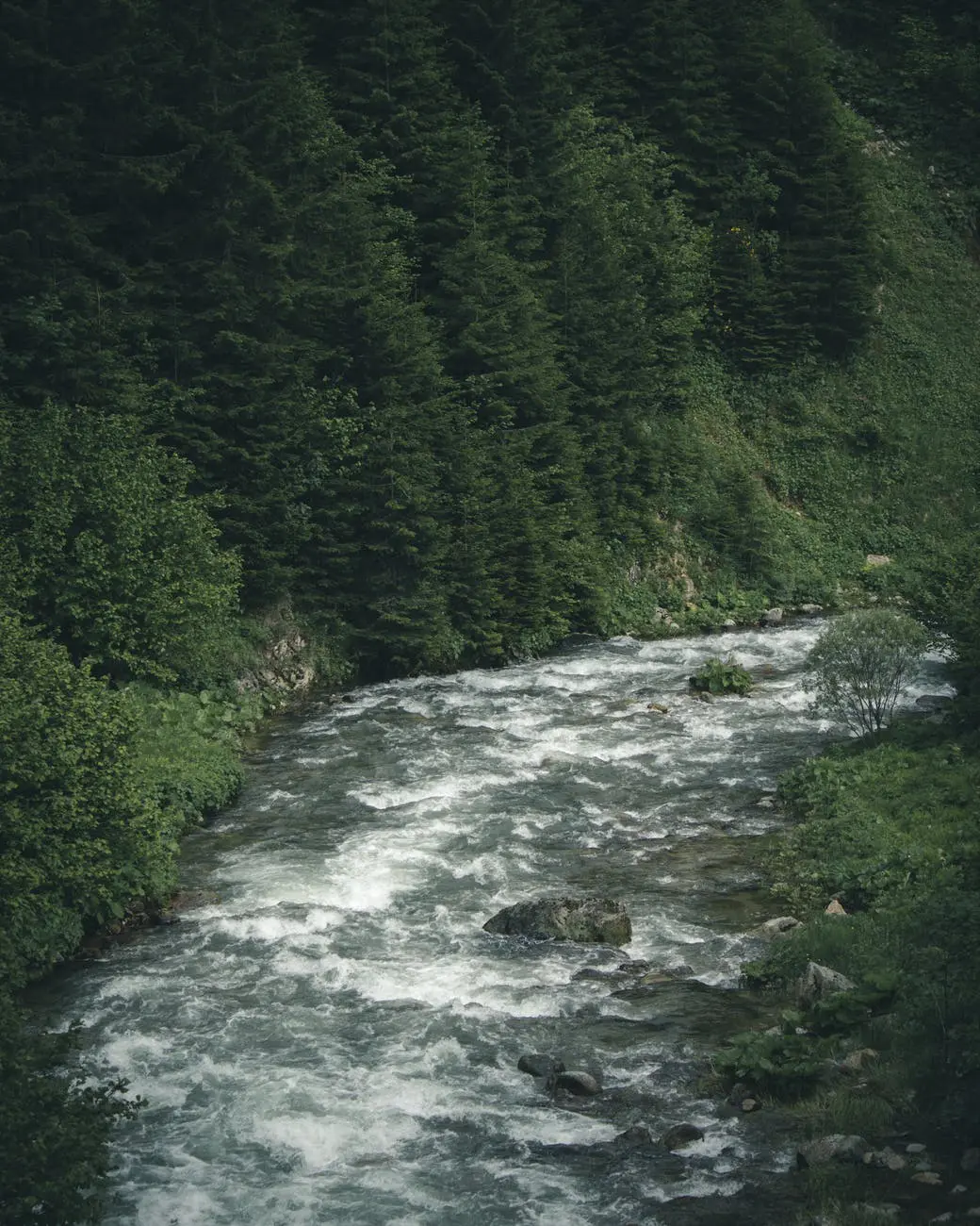 Rushing river surrounded by lush greenery