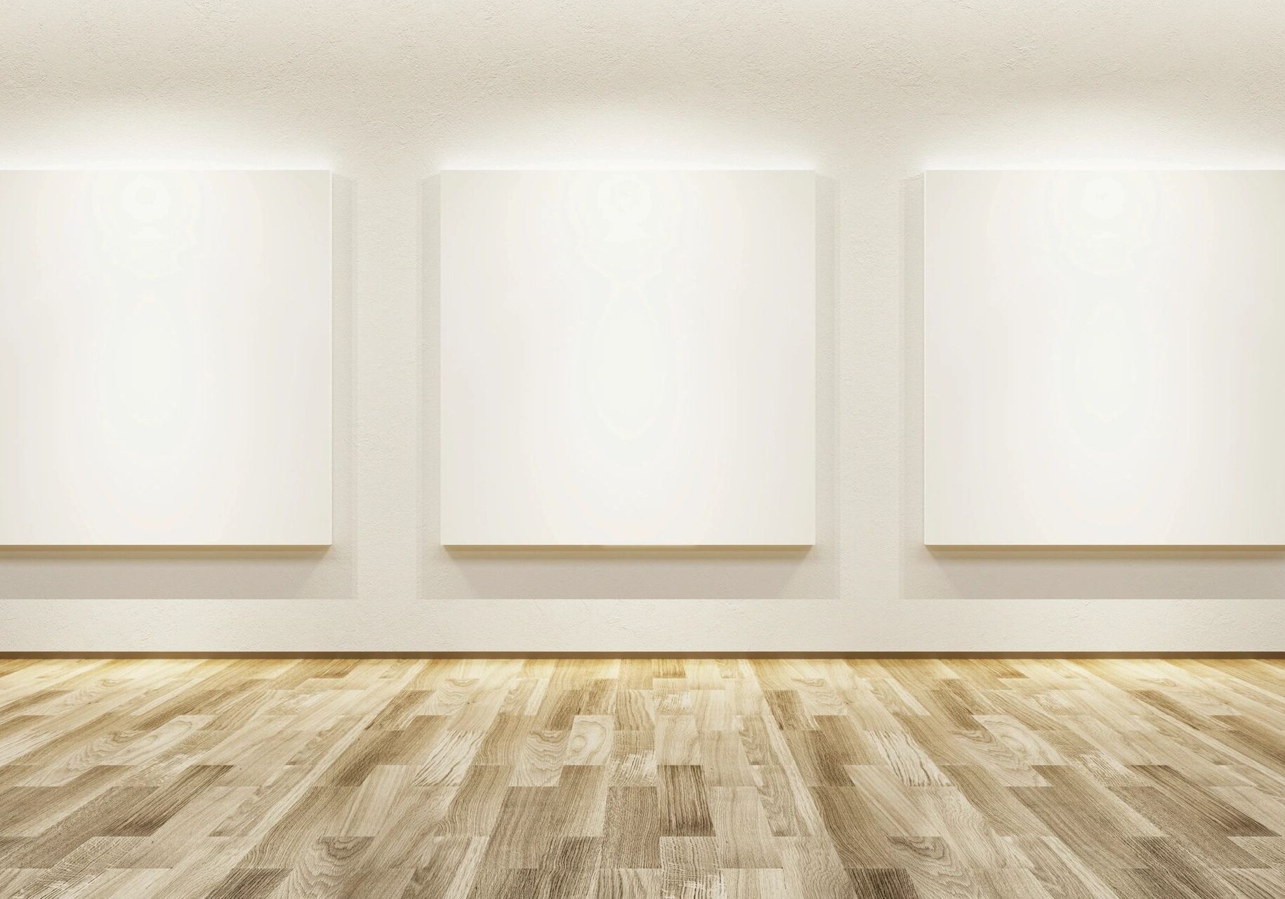 Minimalist art gallery display