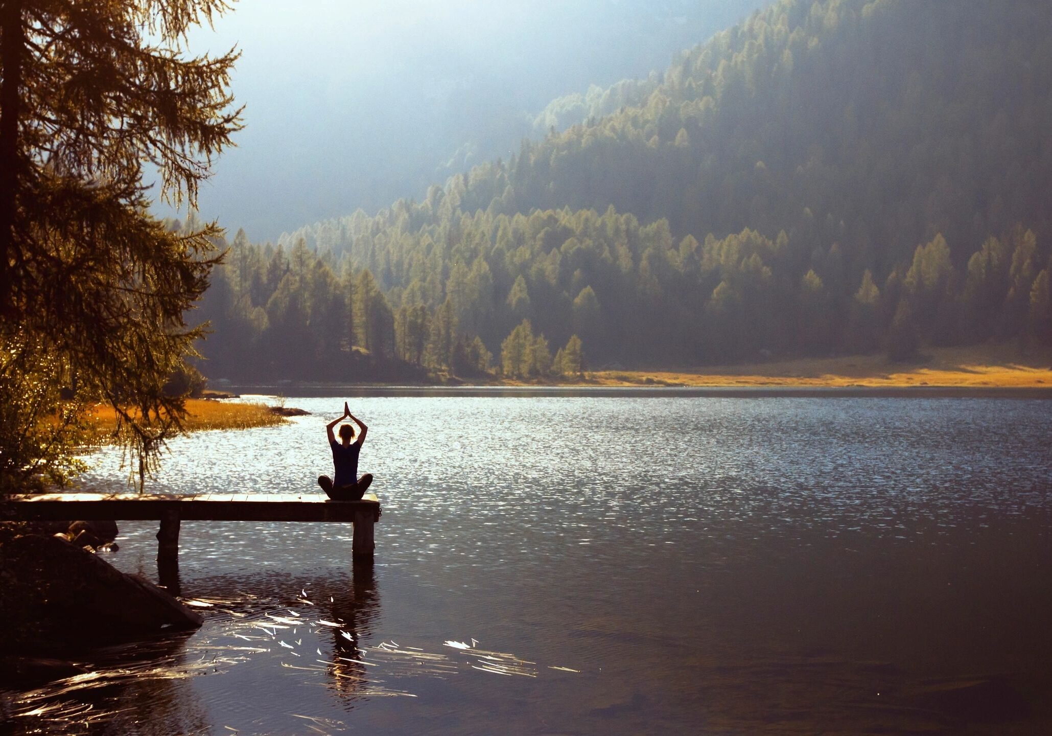 Yoga on a dock by the forest