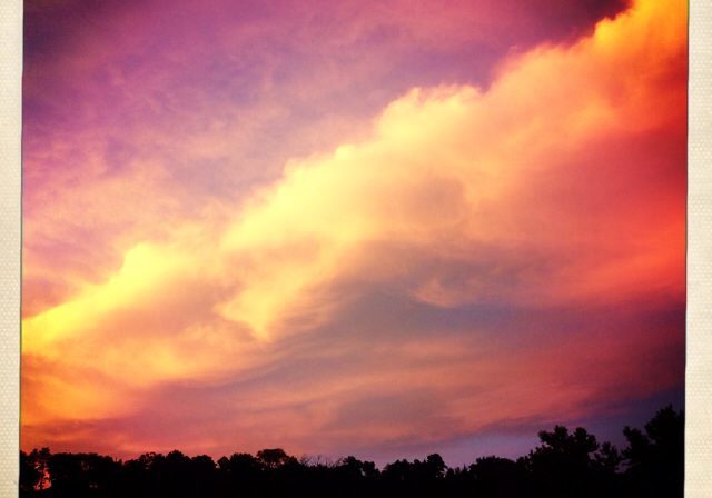 Dramatic sunset over forest silhouette