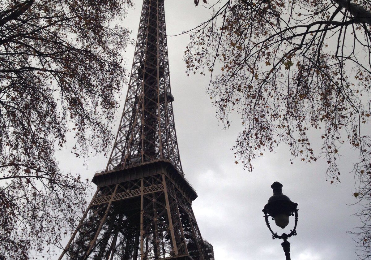 Eiffel Tower framed by autumn trees