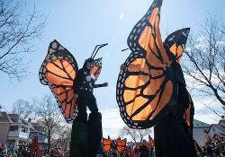 Colorful parade with butterfly-themed costumes