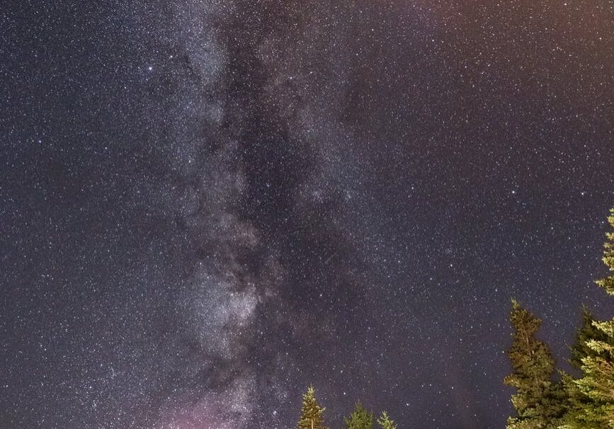 Milky Way over forest trees
