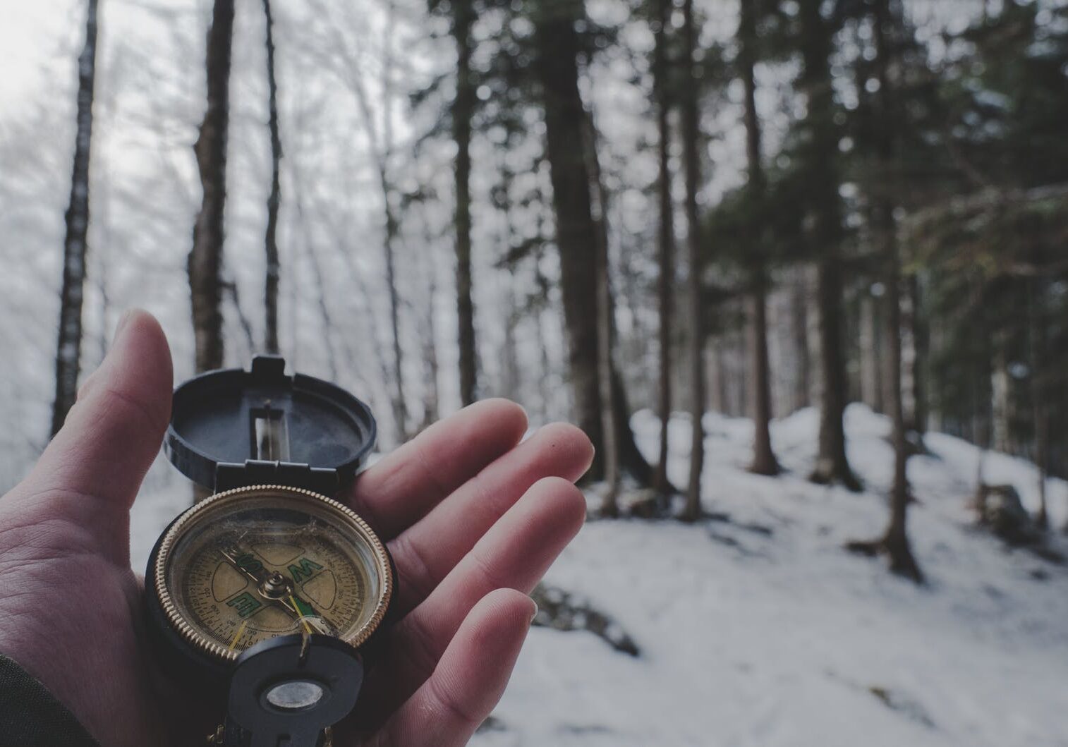 Exploring snowy forest with a compass