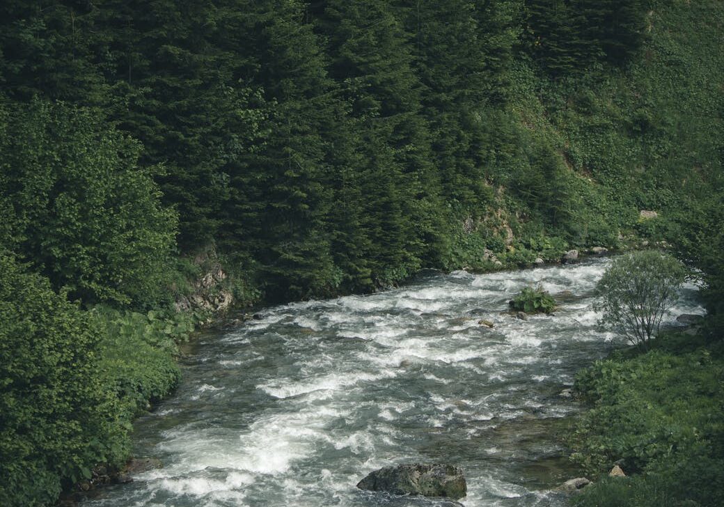 Rushing river surrounded by lush greenery