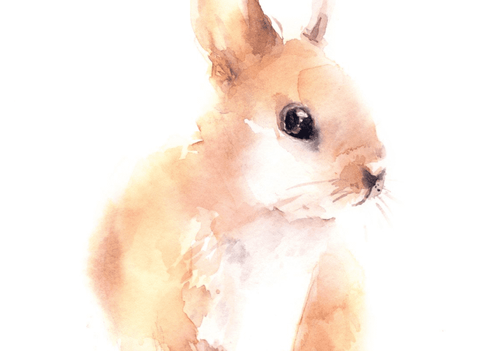 Artistic bunny in soft colors